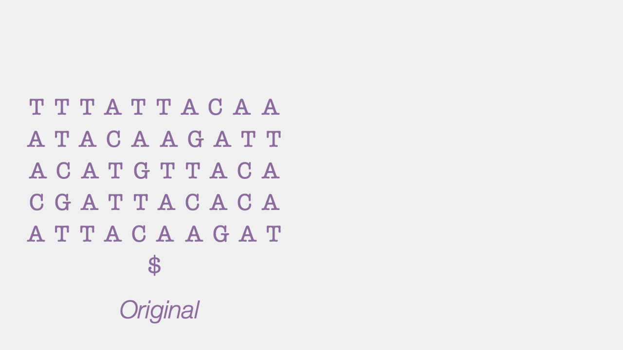 BWT of more complicated text, like sentences /library/burrows-wheeler-transform/11_DNA_BWT.gif